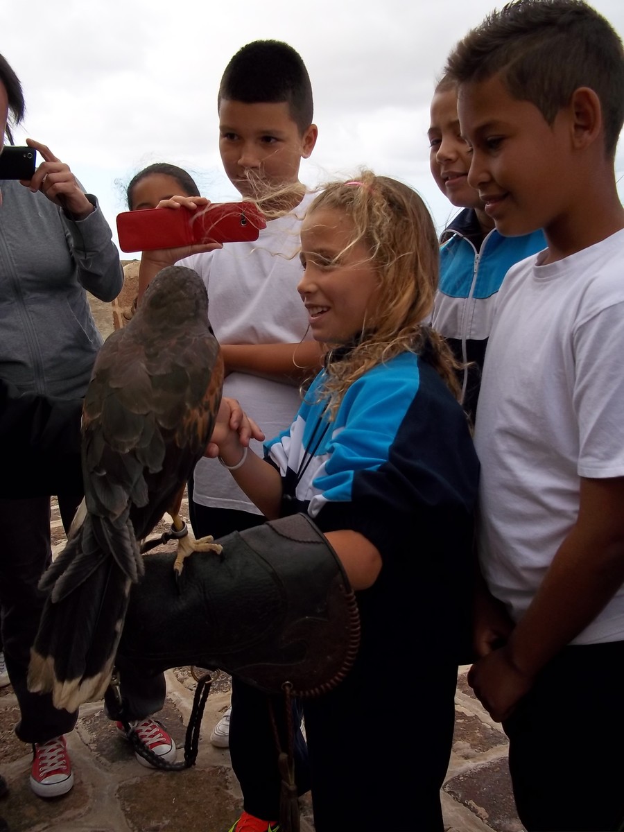 Las aves rapaces sobrevuelan la montaña de Guanapay